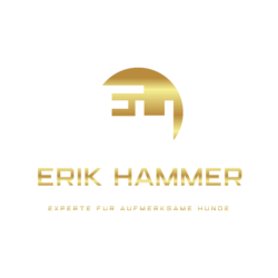 Erik Hammer